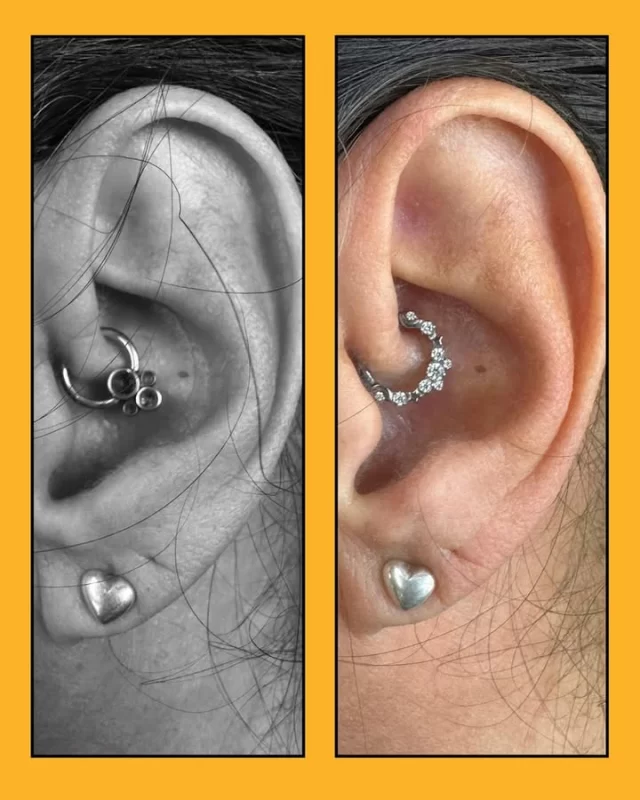 ✨ From basic to beautiful ✨

Sometimes all it takes is a jewellery upgrade to completely transform a piercing.😍

This client swapped out their original daith jewellery for something that truly shines:

💎 Switched from a standard ring, with dull jewels, to a CZ-encrusted moon and stars titanium clicker 🌑 🌙 🌟 
⚡️ Designed for comfort, secure fit & long-term wear
🙌 Proof that the right jewellery takes a healed piercing to the next level

Piercings aren’t just about the placement — they’re about evolving with your style.

* We are located inside 📍 @jadedink_ 
* Call or WhatsApp us on📱 084-600-5263
* Find us on 💻 www.modifiedmonkey.co.za

#jewellerychange #upgrade #daith #titanium #moonandstars #moon #stars #celestial #pierced #piercing #modifiedmonkey #modmonkey#jadedink