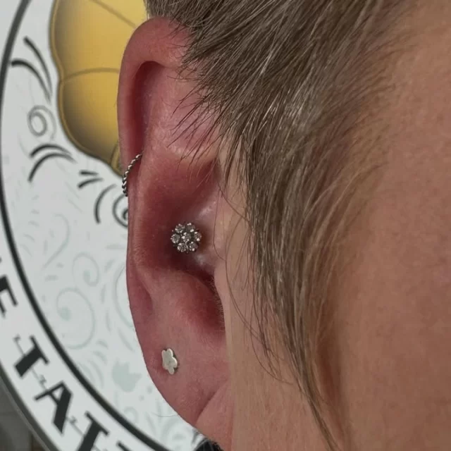 🌸 A bloom of brilliance 🌸

This conch piercing, we did while at Tattoo Gallery, got dressed up with our 6CZ Flower top — perfectly set to catch the light from every angle.

💎 Six precision-cut CZs for full sparkle
🌸 Petal-inspired design for a soft yet striking aesthetic
🔒 Crafted in ASTM F136 titanium for safety & comfort
✨ A statement piece that feels effortless and refined

When your ear becomes the canvas, jewellery is the art.

* Find us📍 @thetattoogallerysa 
* Tues & Thurs from 10am - 1pm
* Every alt Saturday from 1:30pm - 5pm
* Call or WhatsApp us on📱 084-600-5263
* Find us on 💻 www.modifiedmonkey.co.za

#conch #conchpiercing #pierced #piercing #flower #cz #czjewellery #jewellery #titanium #bloom #brilliance #flowertop #modmonkey #modifiedmonkey #piercer #tattoogallery