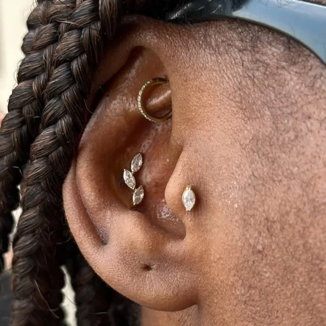 ✨ Golden symmetry done right ✨

A flawless combo of precision and shine — featuring:

💫 Conch pierced with our 3 Leaf Marquise Top
💎 Tragus paired with a Single Marquise Top
🌟 Both in Gold PVD, part of our ever-growing luxury range

Every placement designed for balance, comfort, and that unmistakable sparkling edge ⚡✨

* We are located inside 📍 @jadedink_ 
* Call or WhatsApp us on📱 084-600-5263
* Find us on 💻 www.modifiedmonkey.co.za

#conch #tragus #conchpiercing #traguspiercing #piercing #pierced #piercings #gold #goldpvd #titanium #golden #marquise #marquisetop #leaf #modmonkey #modifiedmonkey #jadedink #bodypiercing #bodypiercingsouthafrica