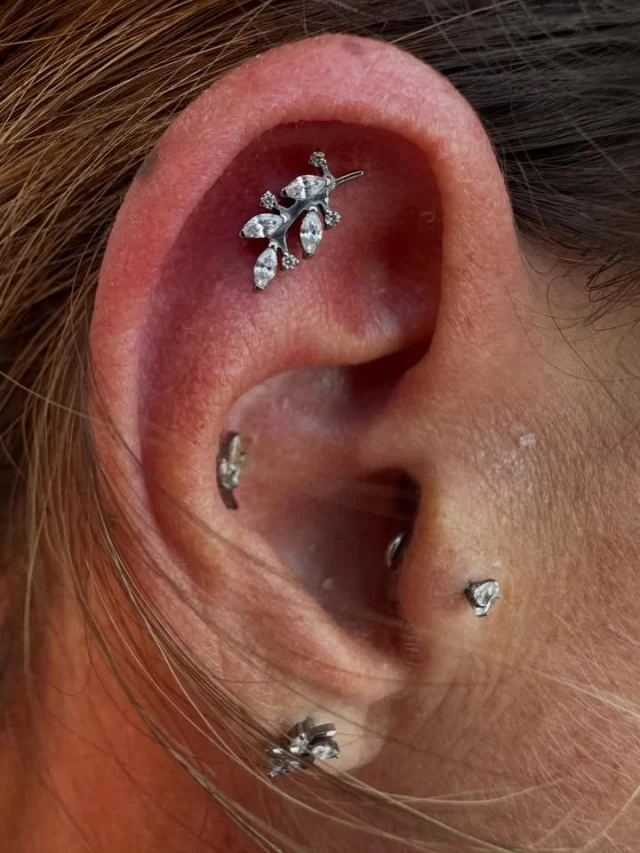 Fresh flat piercing 😍

This one was finished with Adora Jewels Celestial Vine Top, and I honestly love how well it suits her ear.🤩

The right jewellery can make a good piercing look great, but the right placement makes all the difference. In this case, the piece follows the natural shape of the ear beautifully and adds a little sparkle without overpowering the rest of the styling.

I have a feeling this one is going to heal into something really special.

📍 Based inside Jaded_Ink 
📲 WhatsApp 084 600 5263
💻 www.modifiedmonkey.co.za

#modifiedmonkey 
#flatpiercing 
#earpiercing 
#adorajewels 
#piercing
