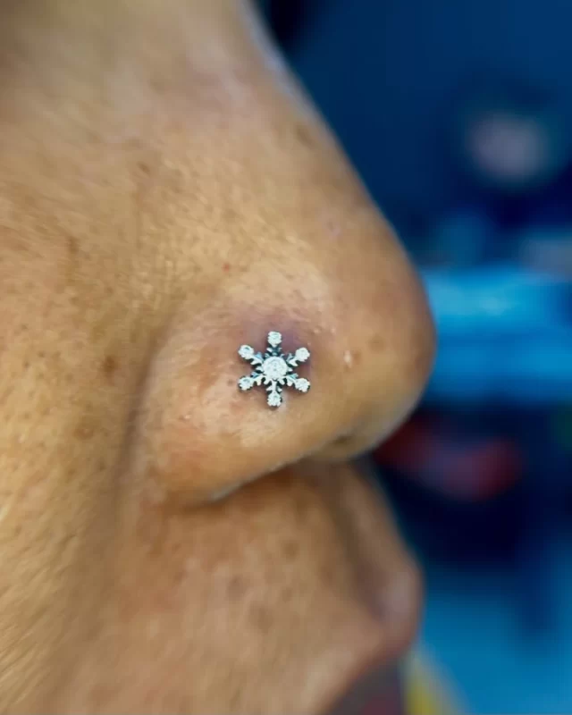 Sometimes it’s the jewellery that transforms a piercing from beautiful to unforgettable.

My client knew she wanted something that said “look at me,” so we built this fresh nostril piercing around our Snowflake Cluster from Adora Jewels . Safe to say, I think we understood the assignment.

It’s bold without being over the top, catches the light beautifully, and suits her perfectly.

📍 Based inside Jaded_Ink 
📱 WhatsApp: 084 600 5263
💻 www.modifiedmonkey.co.za

#modifiedmonkey 
#nosepiercing 
#bodypiercing 
#adorajewels 
#snowflake