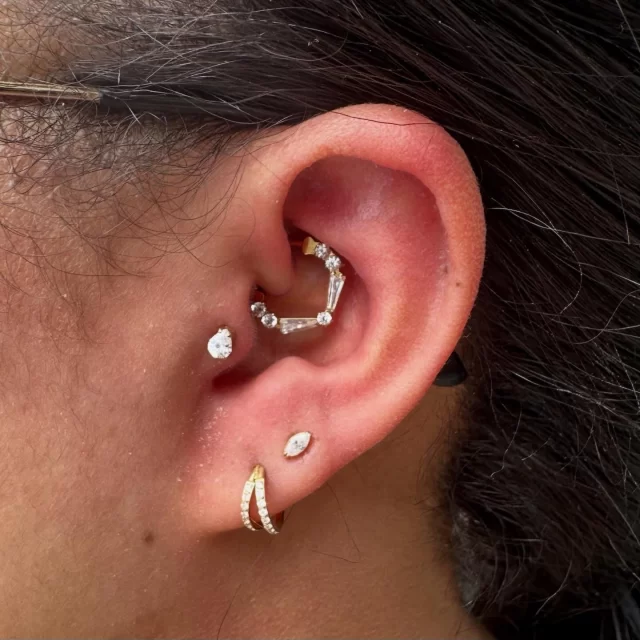 Fresh ✨ and flowing in gold

@jayedeedanielle18 popped in for a full upgrade — and we built this one around that daith. Everything else just flows off it 👌

• Daith — Regal Arc
• Tragus — Lumière Drop
• 1st Lobe — Aurora Loop
• 2nd Lobe — Marquise Whisper

All done in implant-grade titanium with Gold PVD ✨

Nothing overworked here — just a really solid setup that fits her ear properly and will wear beautifully.

Pierce it. Flaunt it.

📍 Based inside @jadedink_ 
📲 084 600 5263
🌐 www.modifiedmonkey.co.za

#goldpiercing 
#daithpiercing 
#curatedear 
#earstyling 
#bodyjewellery